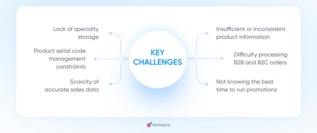 key challenges in customer support